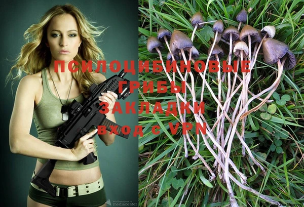 MESCALINE Вяземский