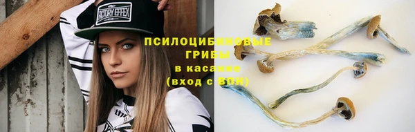 наркотики Горнозаводск