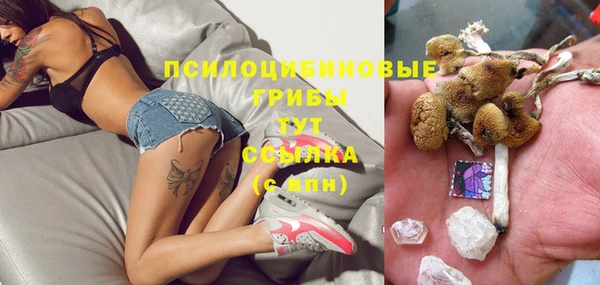 MESCALINE Вяземский